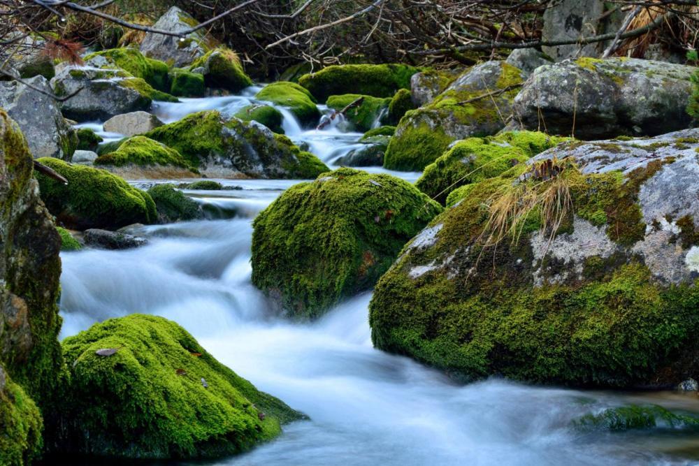 Prazdninove Byty U Kamarata Habovka Buitenkant foto