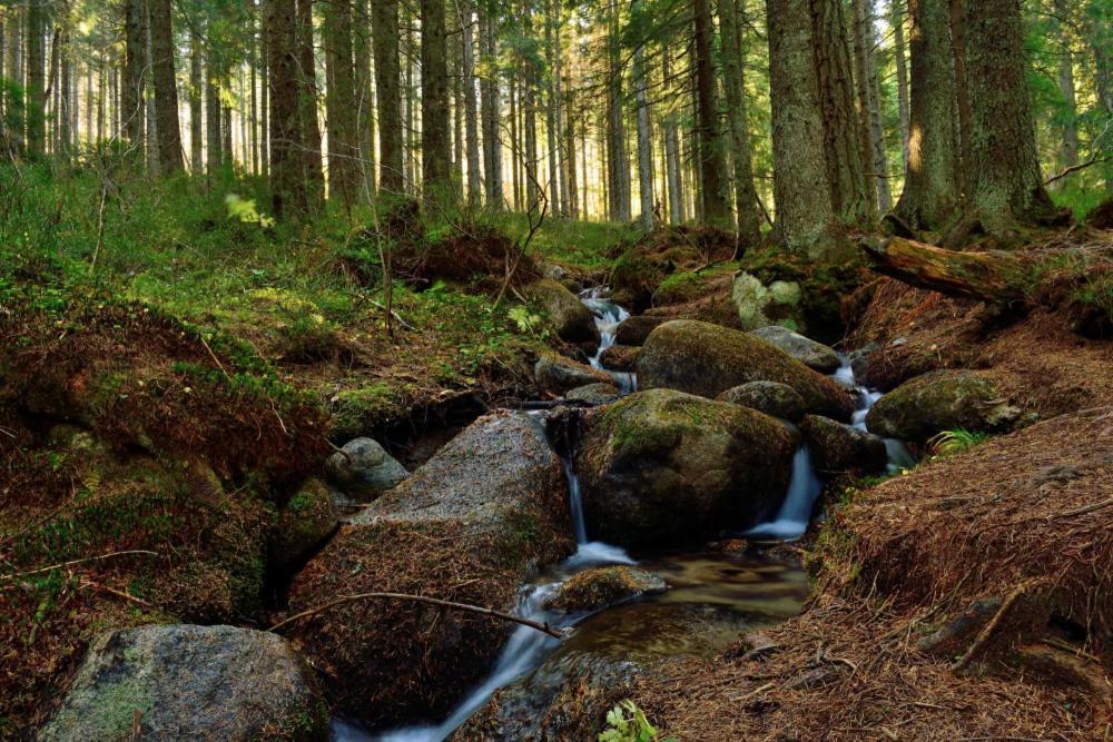 Prazdninove Byty U Kamarata Habovka Buitenkant foto