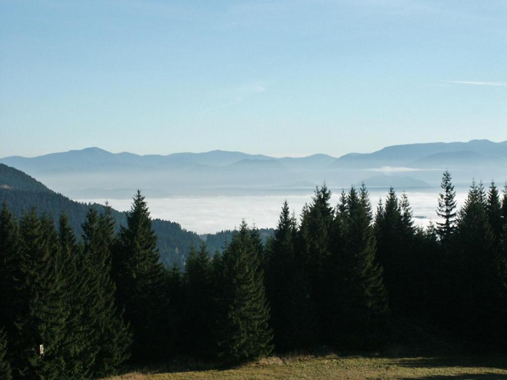 Prazdninove Byty U Kamarata Habovka Buitenkant foto