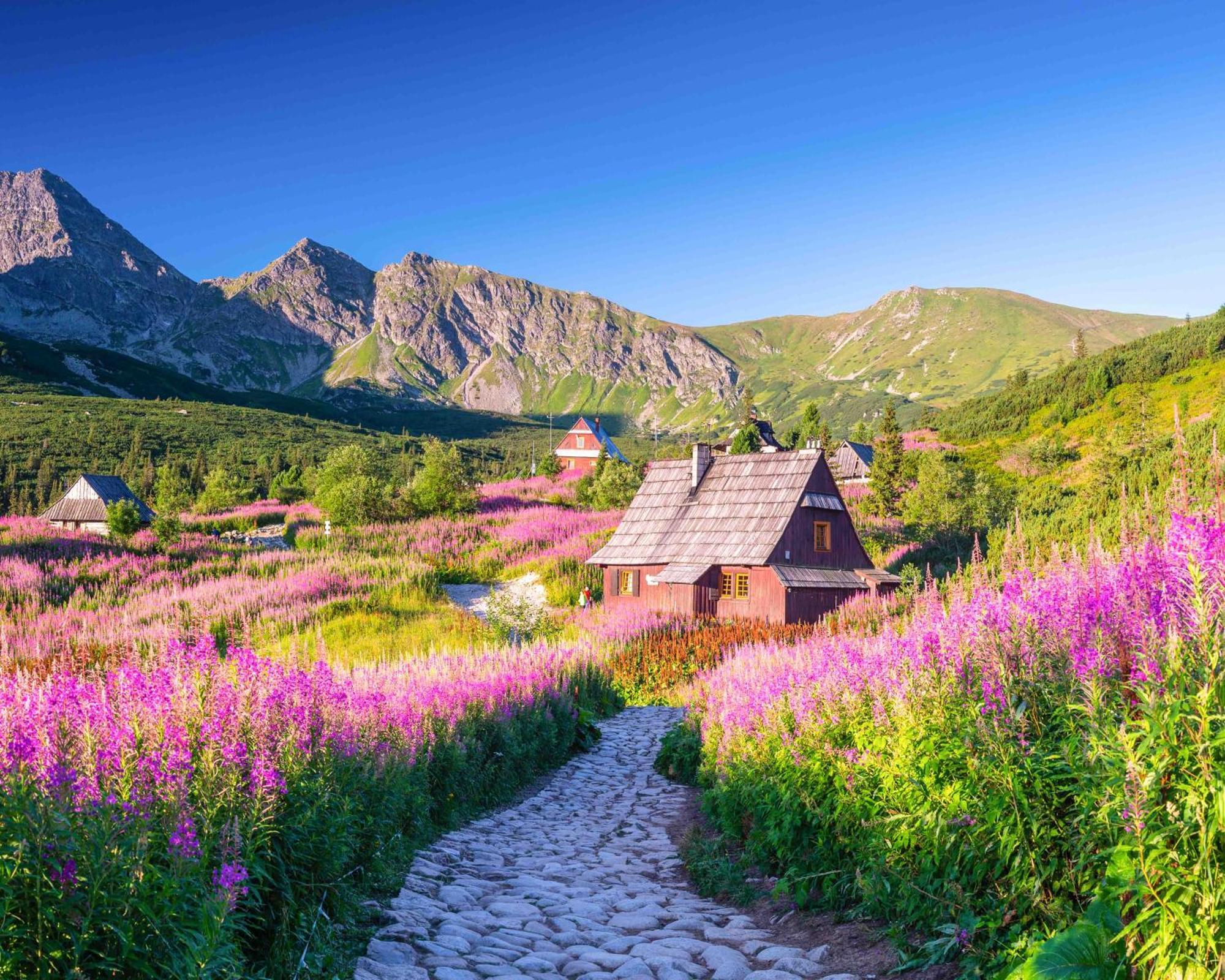 Prazdninove Byty U Kamarata Habovka Buitenkant foto